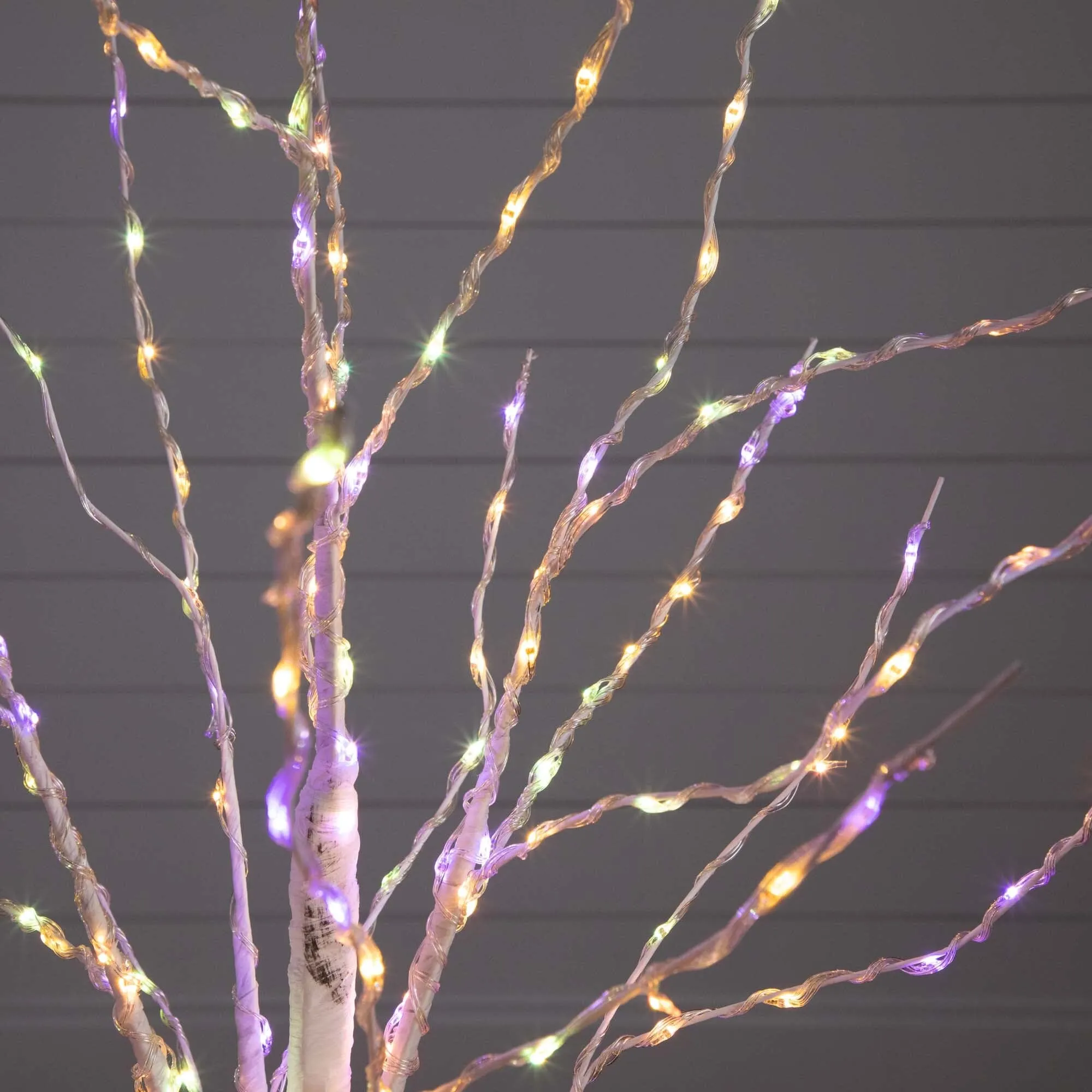 4’ Pre-Lit Artificial White Birch Tree with 240 Color Changing LED Lights