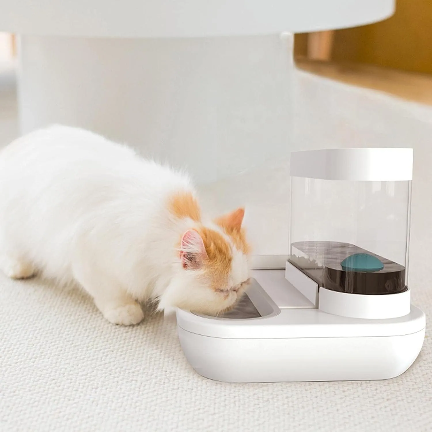 Automatic Feeder & Water Dispenser