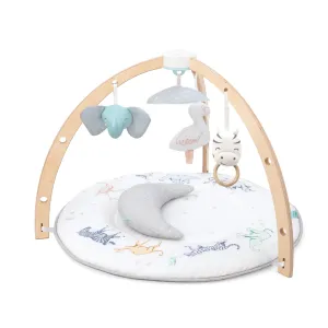 Baby Activity Gym | Play Mat | Rising Star | Aden   Anais