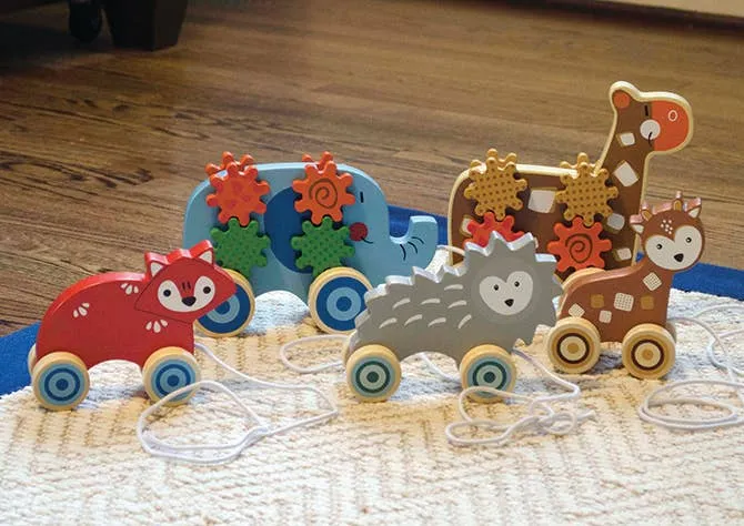 Birchwood Trading - Hedgehog Pull Toy