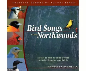 Birdsongs of Northwoods