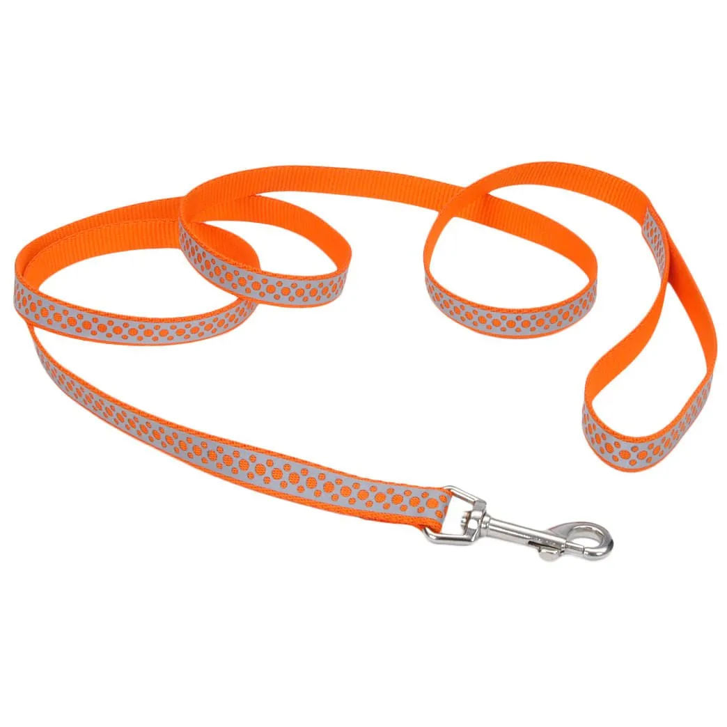 Coastal Pet Lazer Brite Dog Leash, 6' x 3/8"