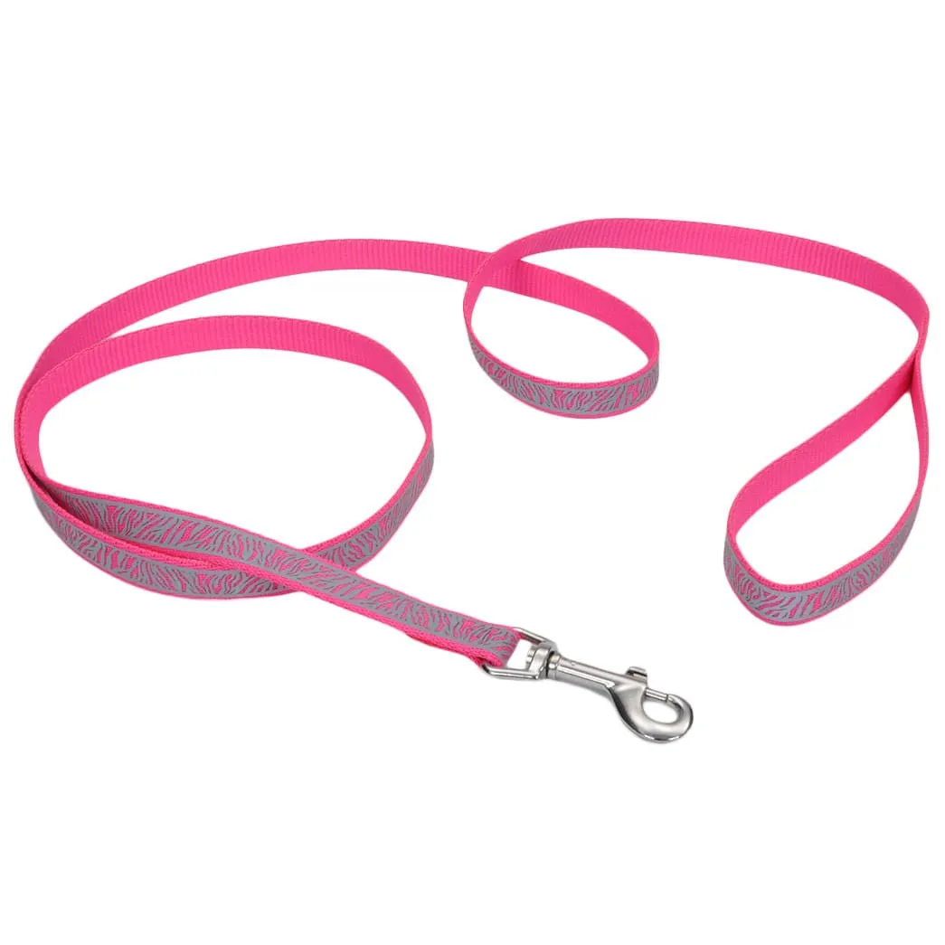 Coastal Pet Lazer Brite Dog Leash, 6' x 3/8"