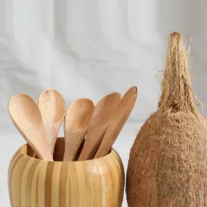 Coconut Wooden Spoon