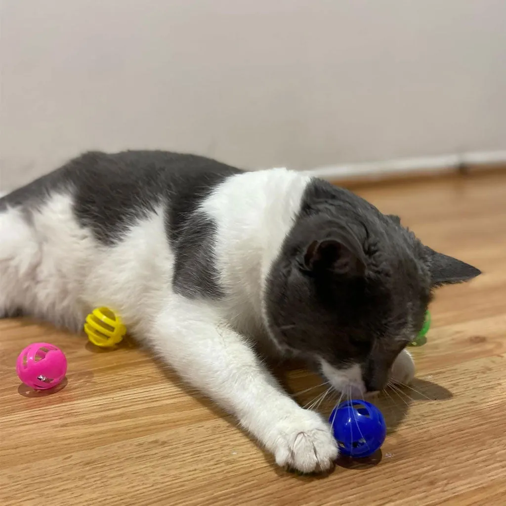 Ethical Pet Spot Slotted Balls Cat Toy Multi-Color, 4-count