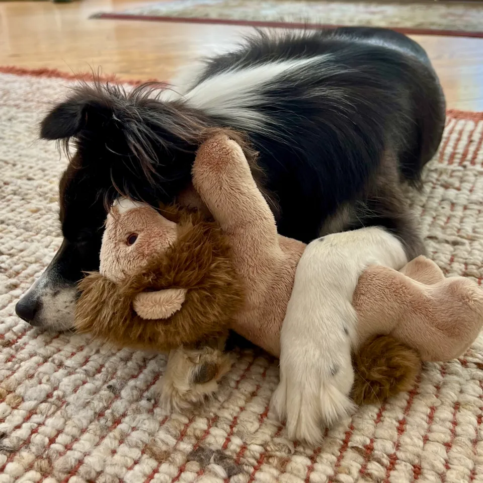 Fluff & Tuff Leo Lion Plush Dog Toy - Wholesale