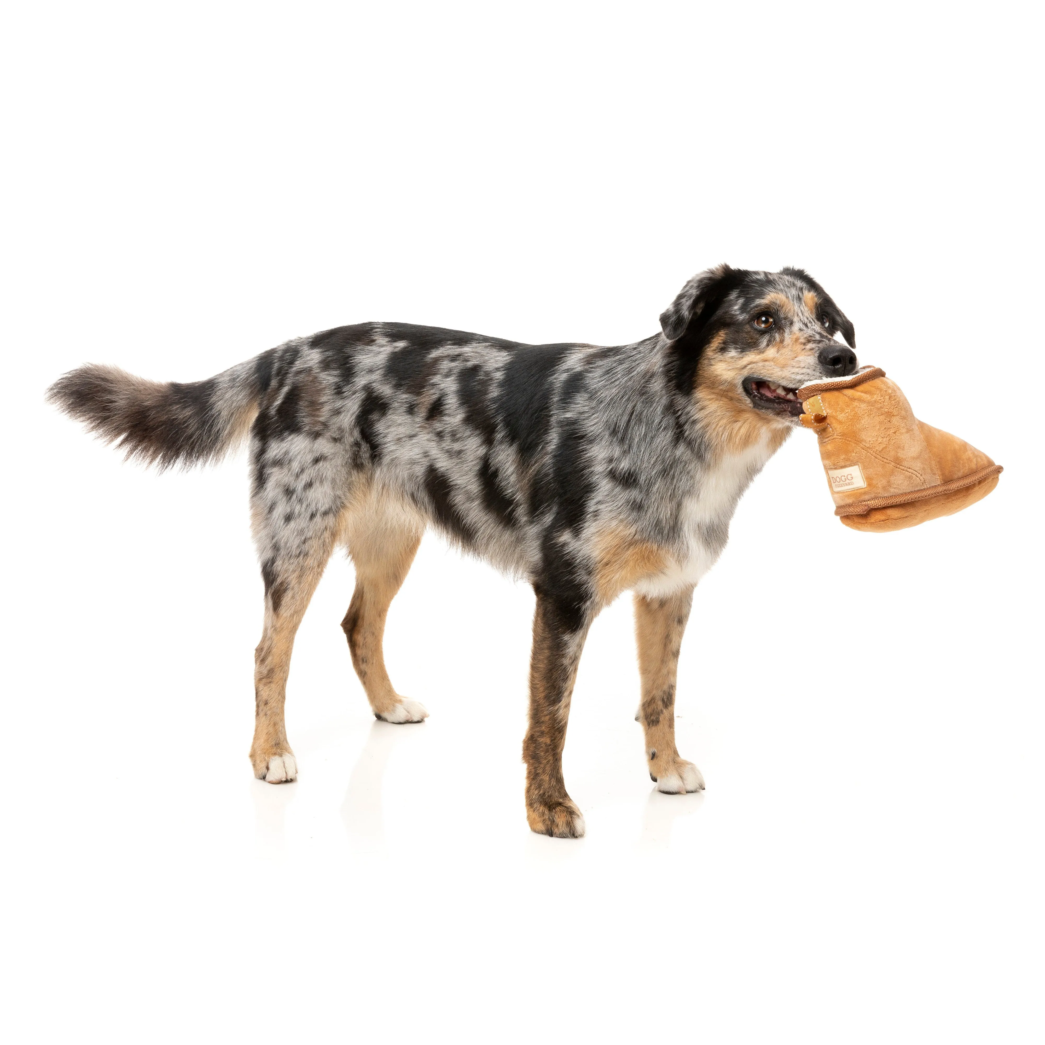 Fuzzyard Dog Toy Dogg Boot^^^