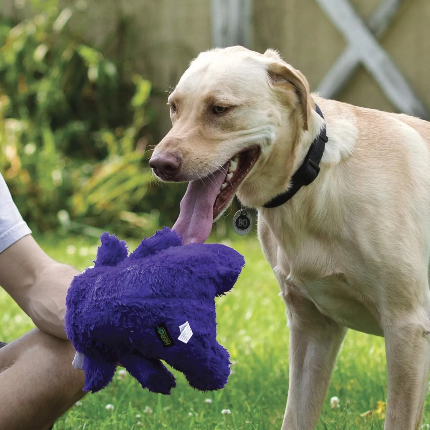Hero Dog Toy Chuckles Aligator, Large