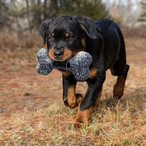 KONG Maxx Bone Dog Toy