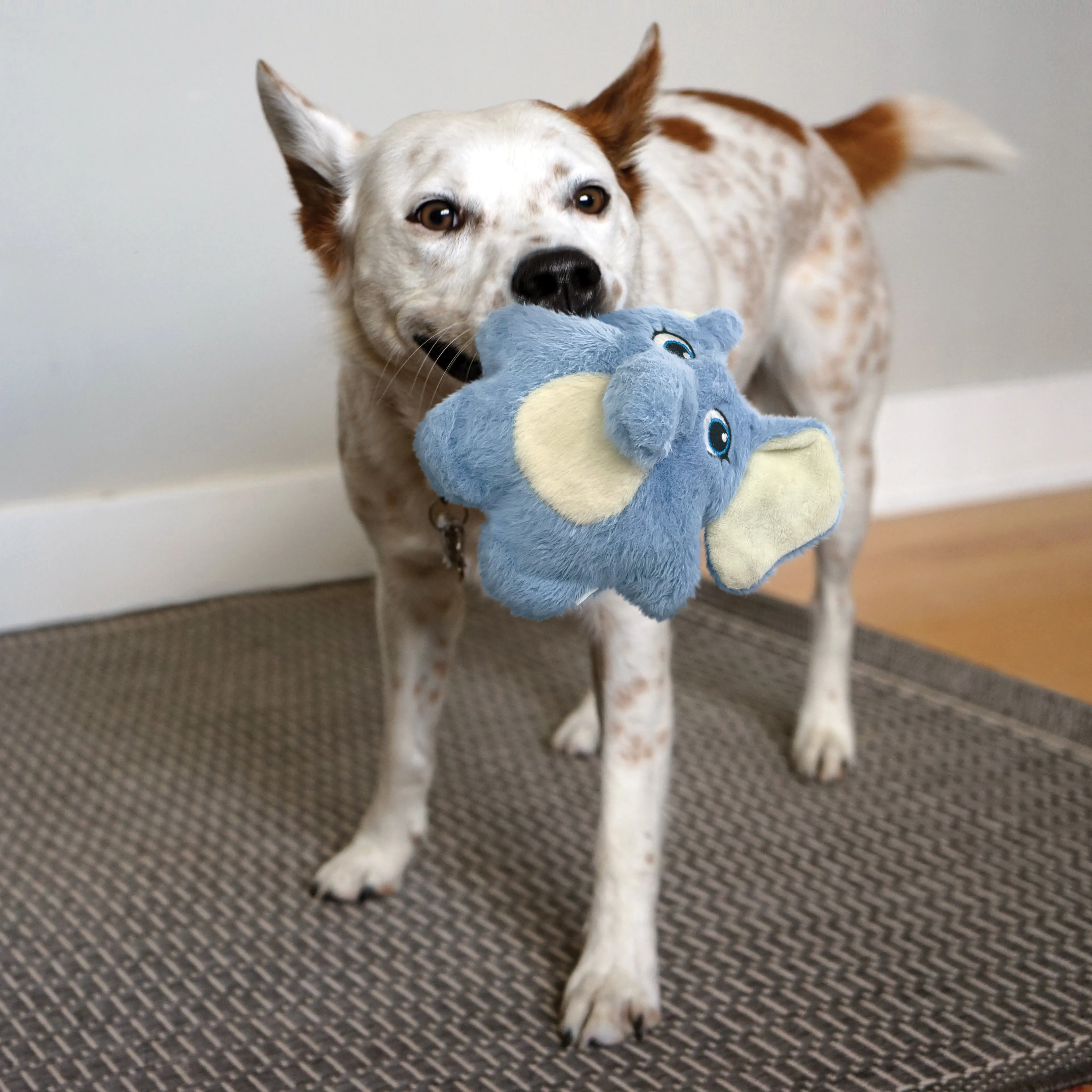 KONG Snuzzles Kiddos Elephant Small Dog Toy^^^