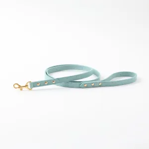 mini dot blue leash