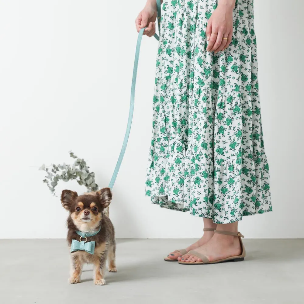 mini dot blue leash