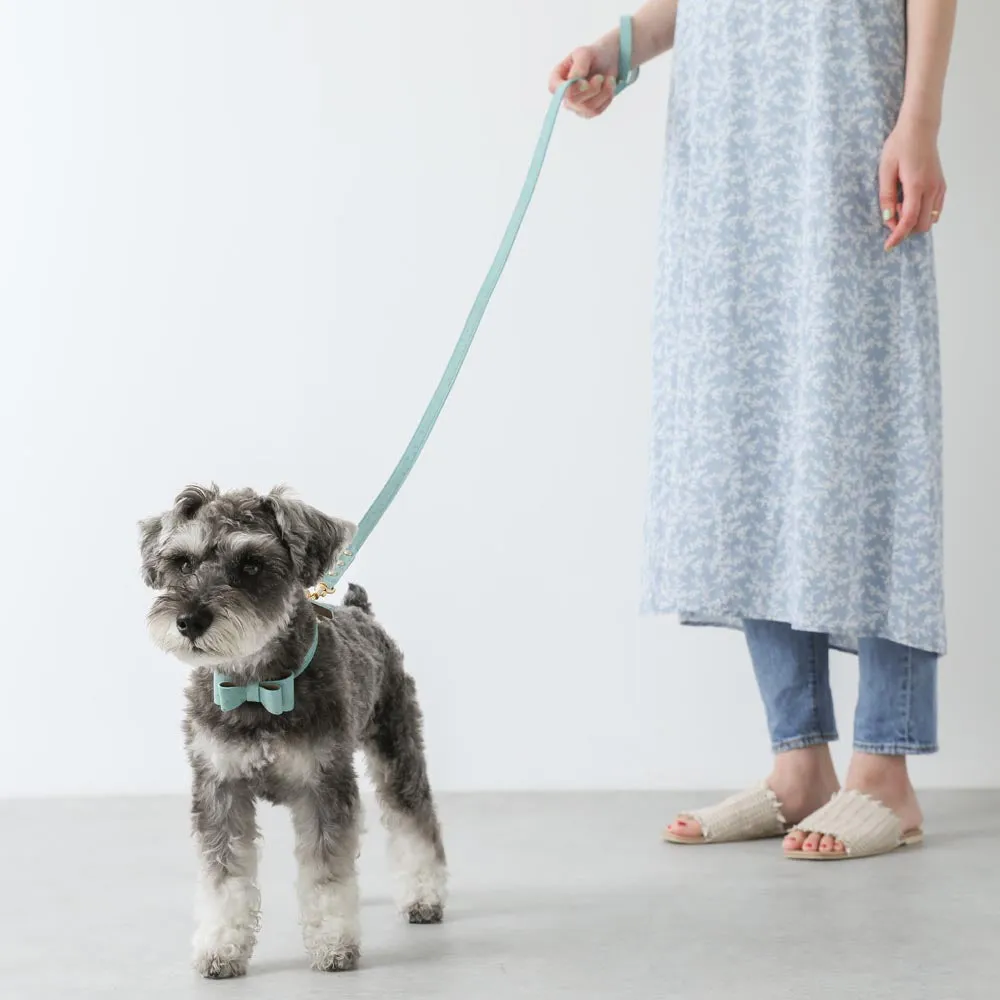 mini dot blue leash