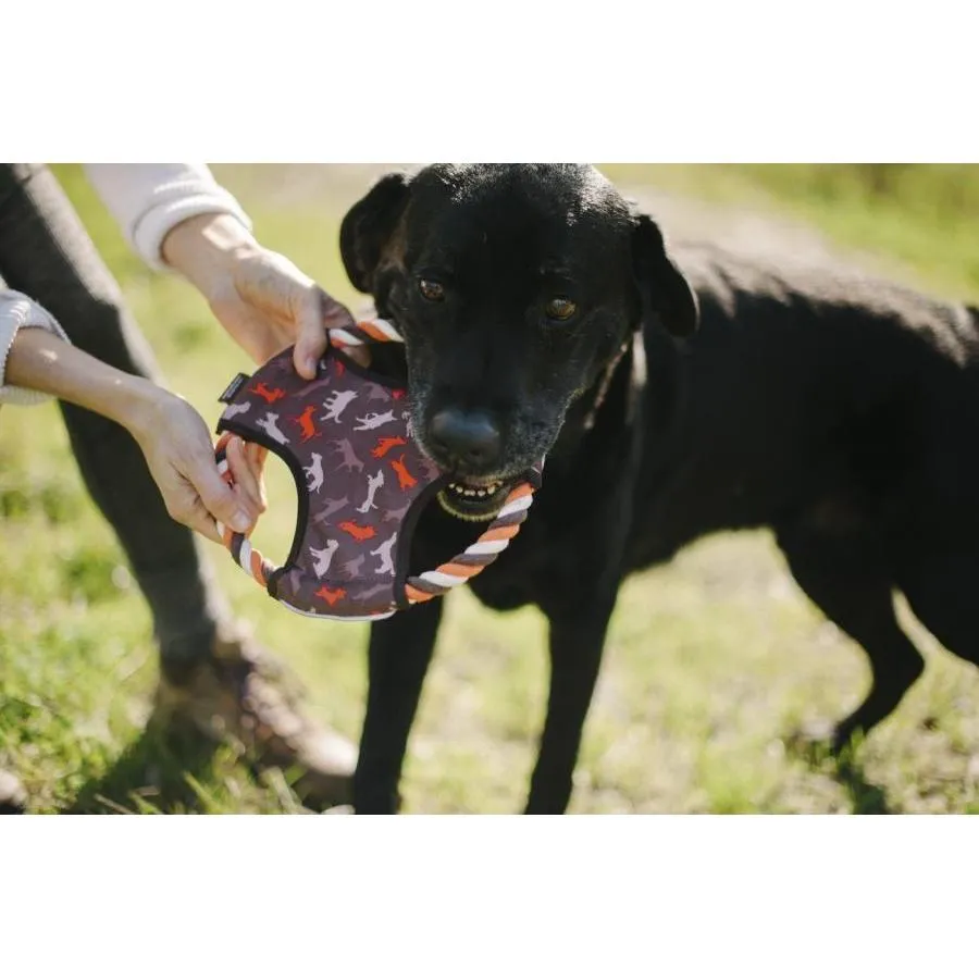 P.L.A.Y. - Scout & About - Flying Disc Dog Toy