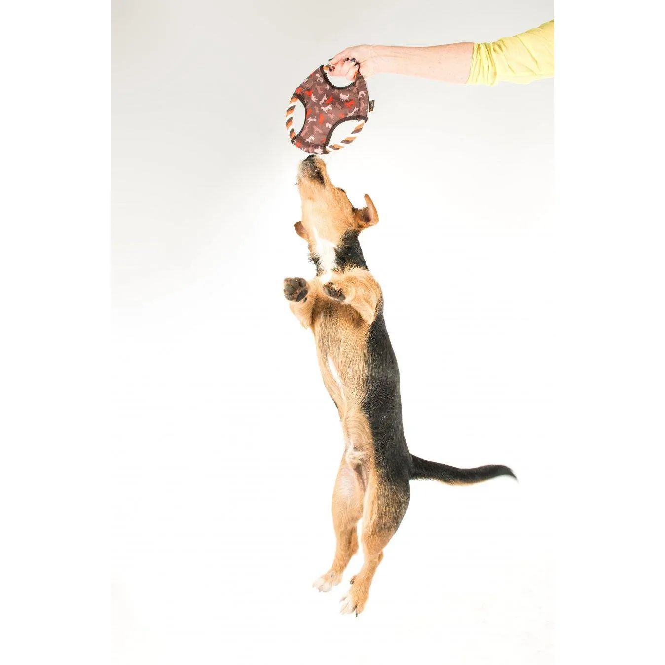 P.L.A.Y. - Scout & About - Flying Disc Dog Toy