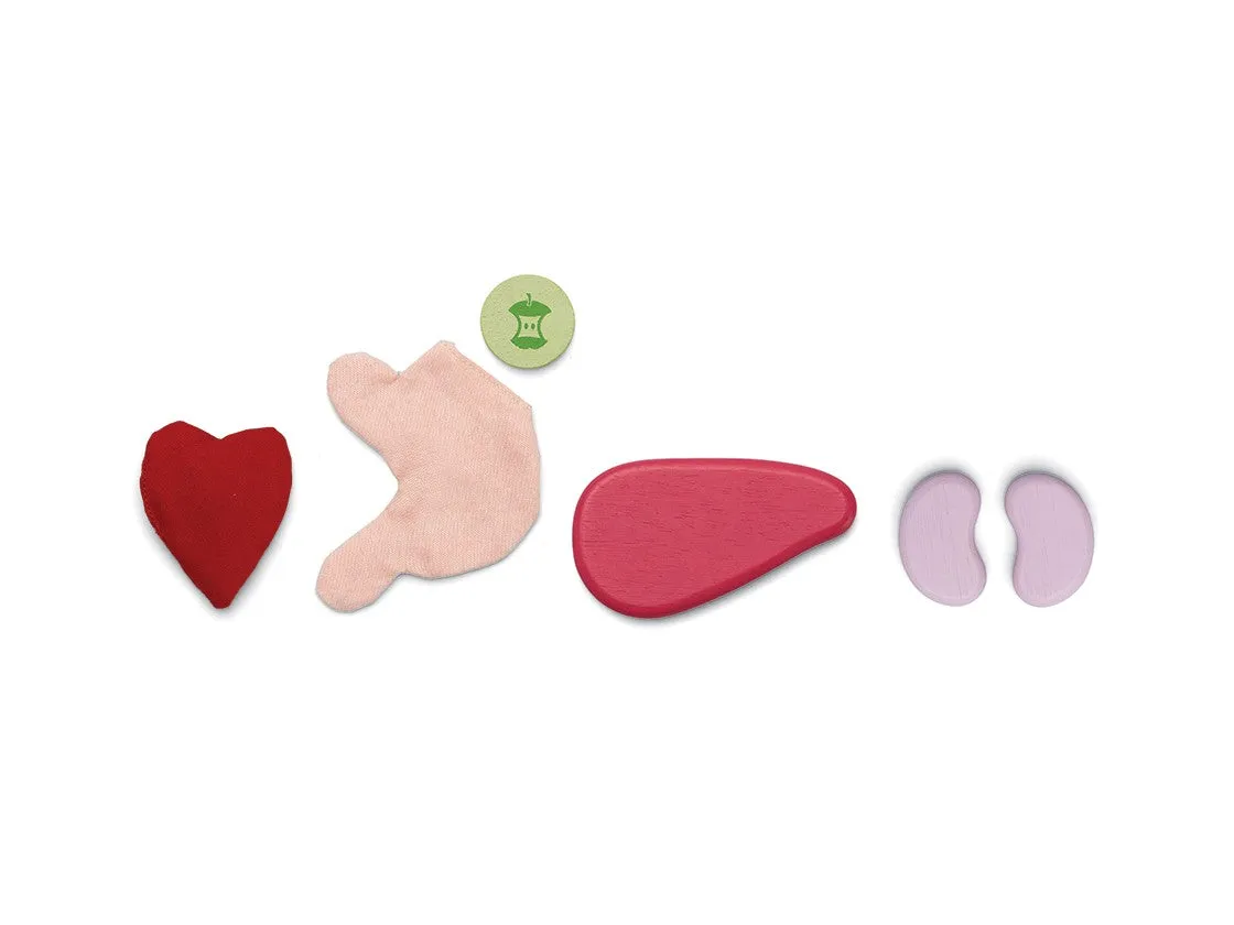 Surgeon Set by Plan Toys