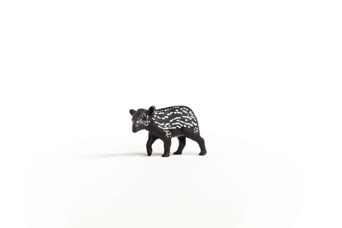 Tapir Baby