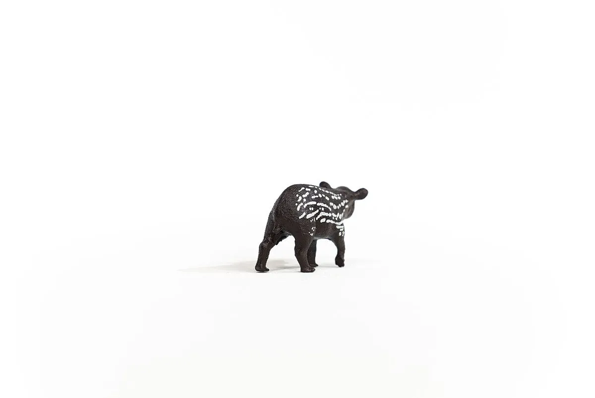 Tapir Baby