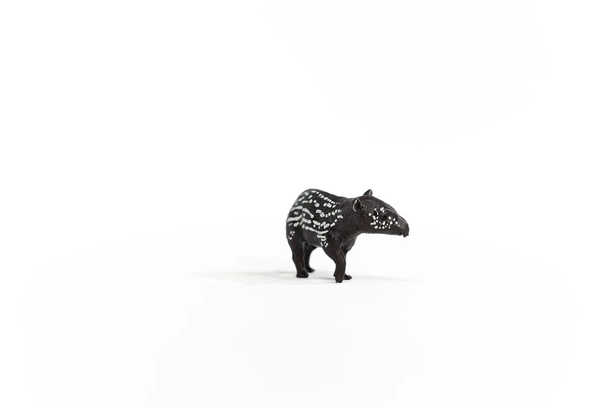 Tapir Baby