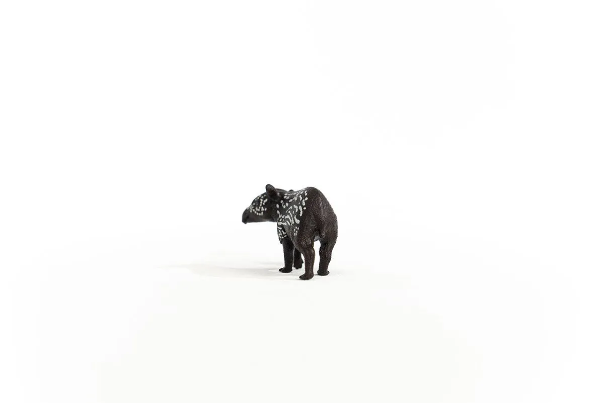 Tapir Baby