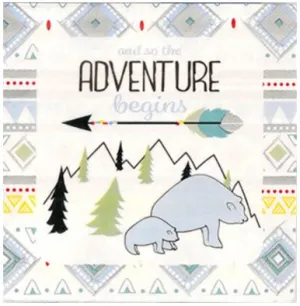 The Adventure Begins Boy Lunch Napkins | 16ct