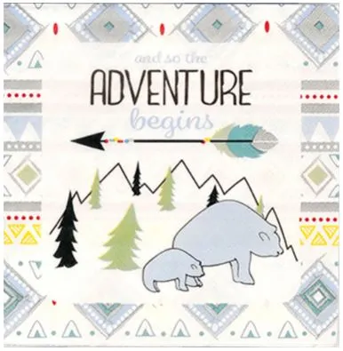 The Adventure Begins Boy Lunch Napkins | 16ct